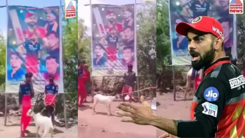 RCB ಗೆಲುವಿಗೆ ಮೇಕೆ ಬಲಿ; ವಿರಾಟ್ ಕೊಹ್ಲಿಯ ಮೂವರು ಅಭಿಮಾನಿಗಳ ಬಂಧನ