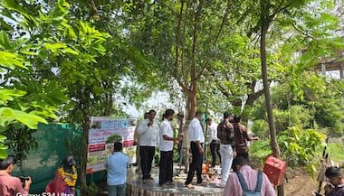 पिंपळास साकडे: 'पिंपळ पौर्णिमा'च्या निमित्ताने पतीपीडित पुरुषांचा आक्रोश
